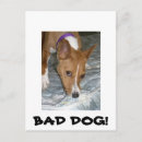 Recherche de mauvais chien cartes postales Dog