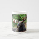 Recherche de oie tasses Faune