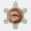 Recherche de animal singe ornements Orangoutan