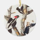 Recherche de audubon ornements James