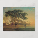 Zoek naar narcisse posters Kameel