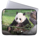 Recherche de zoo ordinateurs portables protections Photographie