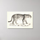 Recherche de de faune impressions sur toile Léopard