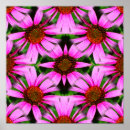 Recherche de motif de marguerite posters Floral