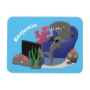 Recherche de requin magnets Océan