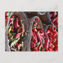 Recherche de chilis cartes postales Rouge