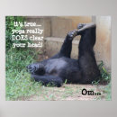 Recherche de chimpanze posters Humour