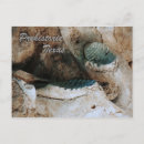 Recherche de préhistorique cartes postales Mammouth