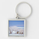 Recherche de menacé porteclés Prédateur