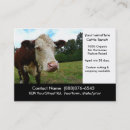 Recherche de viande de boeuf cartes visite Élevage