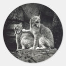 Recherche de de lynx autocollants Chats