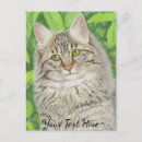 Zoek naar tekeningen katten briefkaarten Huisdier