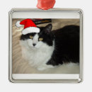 Recherche de chat noir et blanc ornements Noël
