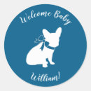 Recherche de chiot autocollants Frenchie