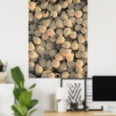 Recherche de ampoule posters Noir