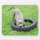Recherche de bull terrier tapis souris Dog