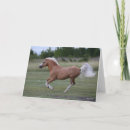 Zoek naar welsh pony kaarten Palomino