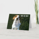 Recherche de confus cartes postales Chien