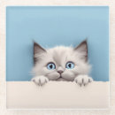 Recherche de ragdolls dessous de verres Amoureux des chats