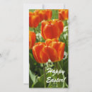 Zoek naar easter kaarten Helder