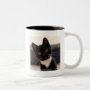 Recherche de premier plan tasses Animaux domestiques