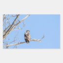 Recherche de rapace autocollants Chasseur