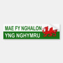 Recherche de pays galles voiture autocollants Gallois