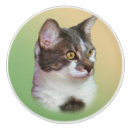 Recherche de chat noir boutons et poignées de porte Animaux familiers