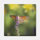 Recherche de simplicité magnets Nature
