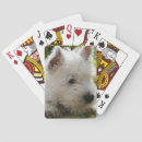 Recherche de westies jeux de cartes West highland white terrier