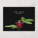 Recherche de passiflore cartes postales Fleurs