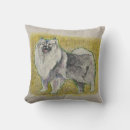 Recherche de keeshound Dog