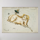 Recherche de canis posters Constellation