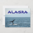 Recherche de queue de baleine cartes postales Bosse
