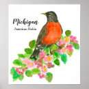 Recherche de oiseau américain posters Fleur de pomme