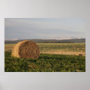 Recherche de foins posters Moisson