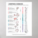 Recherche de canines posters Animal