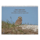 Zoek naar owls kalenders Natuur