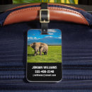 Recherche de kenya accessoires Parc national d'amboseli