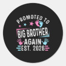 Recherche de best big brother autocollants 2026