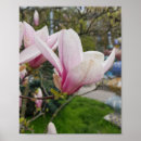 Zoek naar grote bloemen posters Roze