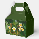 Recherche de frangipani ballotins Tropical