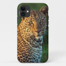Recherche de gallo iphone coques Vue rapprochée