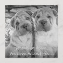 Recherche de de chien mariage invitations Animal