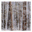 Recherche de forêt posters Neige