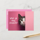 Recherche de chaton blanc cartes postales Curieux