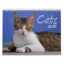 Recherche de de chat calendriers 2027