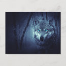 Recherche de loups cartes postales Animal sauvage