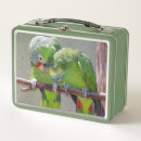 Zoek naar bird lunchboxen Vogels