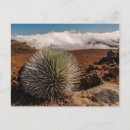 Zoek naar haleakala briefkaarten Haleakala national park